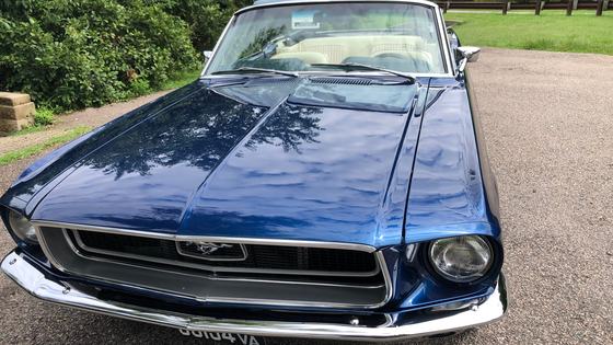 1968 Ford Mustang Convertible by 68PonyFord