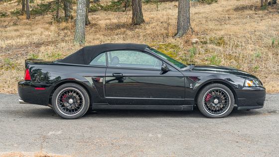 2003 Ford Mustang SVT Cobra Convertible