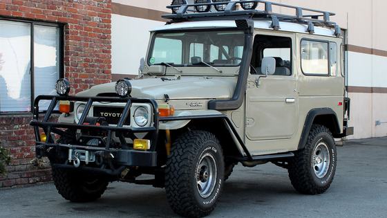 1982 Toyota Land Cruiser FJ40 by Lolamike30