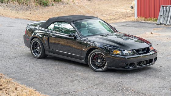 2003 Ford Mustang SVT Cobra Convertible