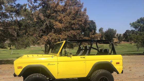 1975 Ford Bronco by CCR1