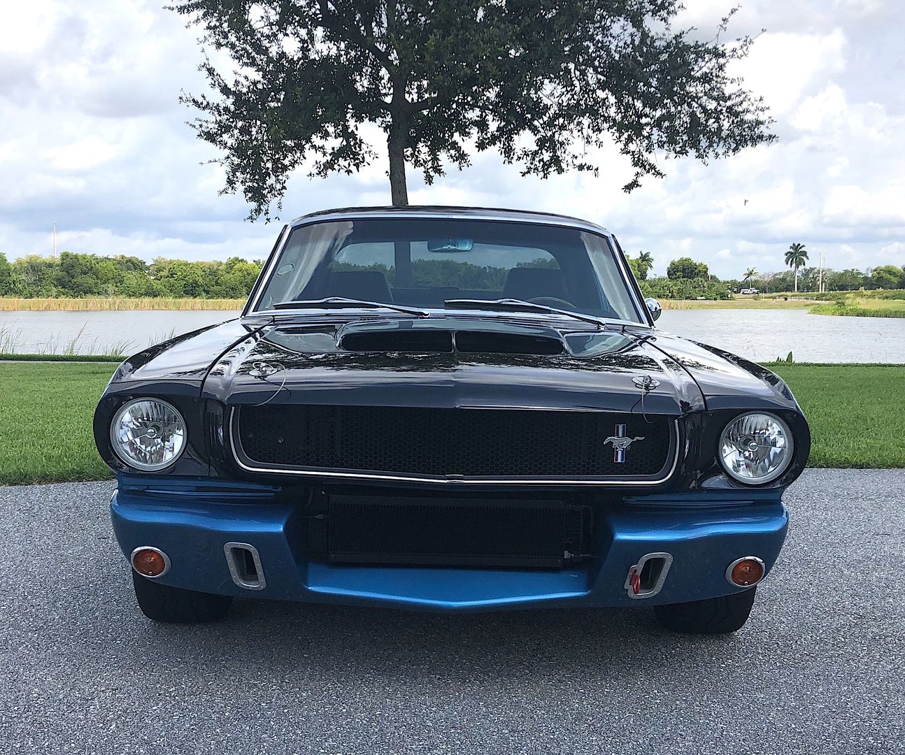 535hp 1965 Ford Mustang Shelby GT350 Restomod