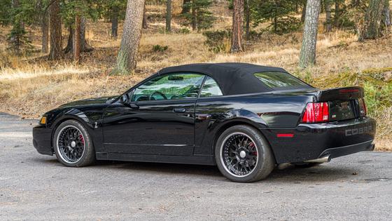 2003 Ford Mustang SVT Cobra Convertible