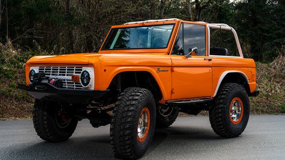 Custom 1977 Ford Bronco