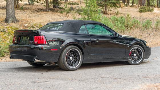 2003 Ford Mustang SVT Cobra Convertible