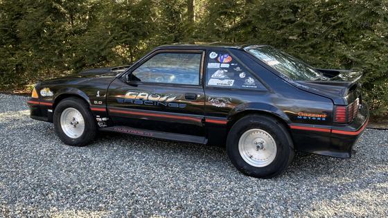 1988 Ford Mustang GT Drag Racer by The Great Carma Foundation