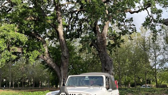 Modified V6 1969 Jeep Jeepster Commando
