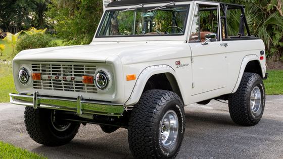 1976 Ford Bronco by dvan