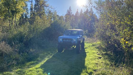 1976 International Harvester Scout II 4x4 by 75Scout2
