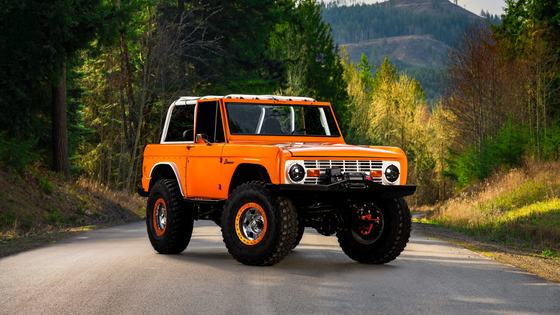Custom 1977 Ford Bronco