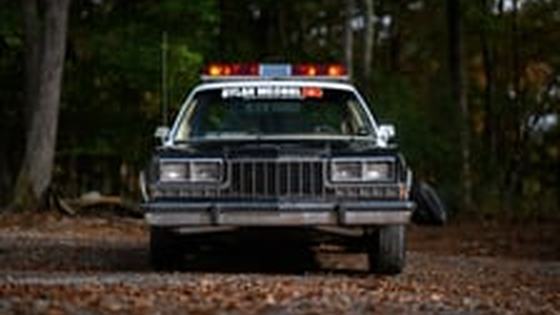 Turbocharged Dodge Diplomat Police Car by Dylan McCool