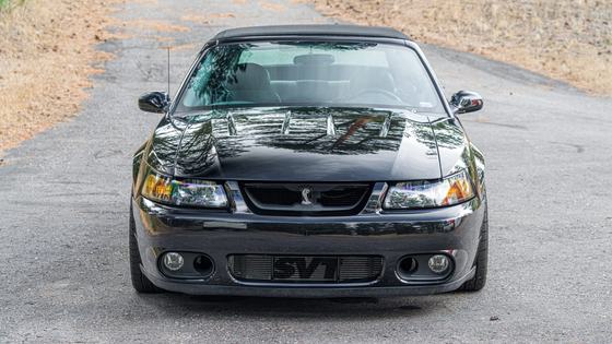 2003 Ford Mustang SVT Cobra Convertible
