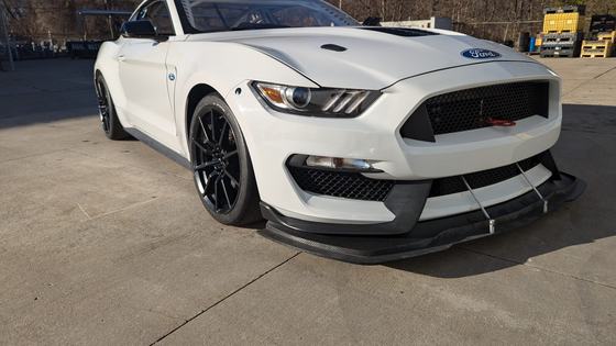 Ford Mustang S550 Race Car by Capaldi Racing
