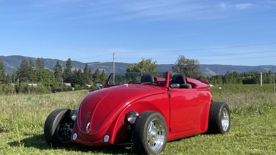 1969 Volkswagen Beetle-Style Roadster by DGHMIEL