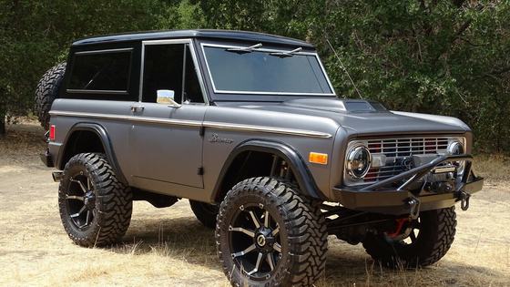 Fuel-Injected 351ci V8 1977 Ford Bronco