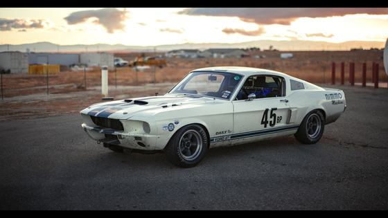 1967 Ford Mustang by Les Nimmo