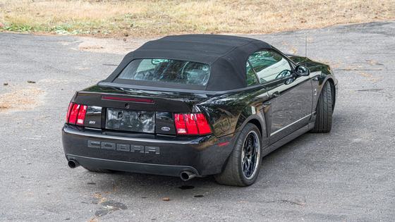 2003 Ford Mustang SVT Cobra Convertible