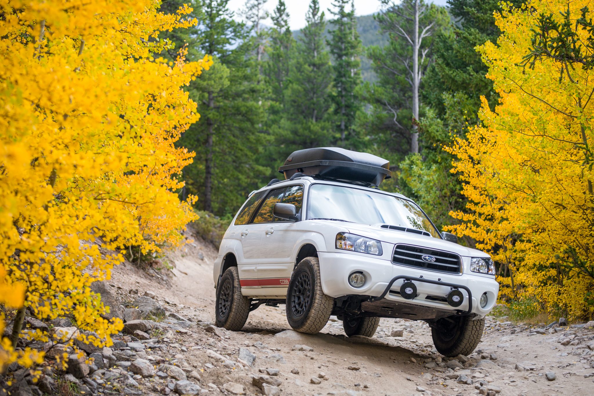 2005 Subaru Forester 2.5XT by rchampion
