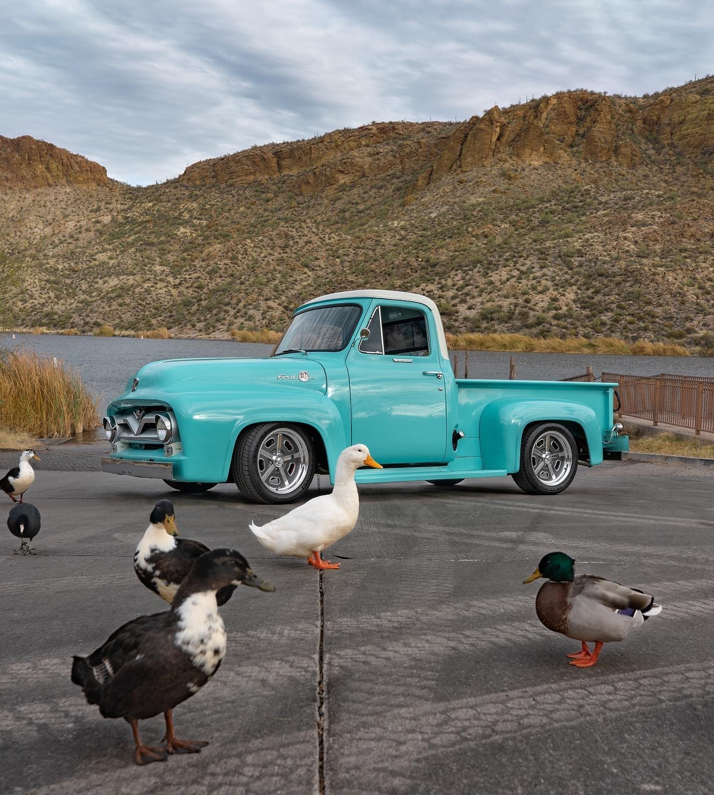 Coyote-Swapped 1955 Ford F-100 by Fat Fender Garage