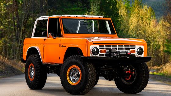 Custom 1977 Ford Bronco