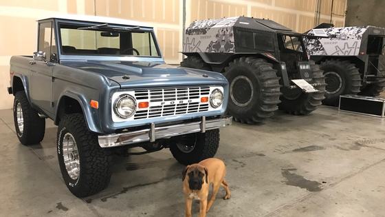 5.0 HO V8 Powered 1977 Ford Bronco