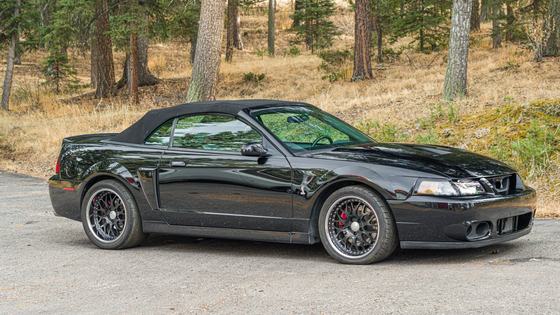 2003 Ford Mustang SVT Cobra Convertible