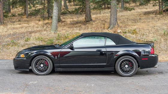 2003 Ford Mustang SVT Cobra Convertible