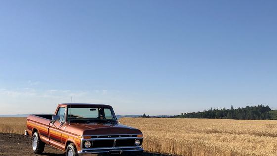1977 Ford F-150 Custom