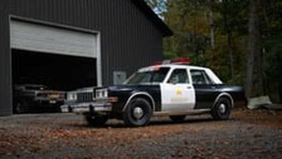Turbocharged Dodge Diplomat Police Car by Dylan McCool