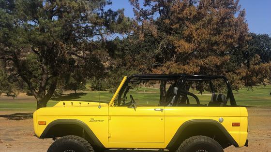 1975 Ford Bronco by CCR1
