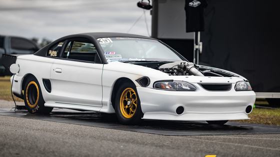 Ford Mustang "Limited 235 Turbo" by Tin Soldier Race Cars