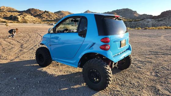 2013 Smart RZR 800s by Danny