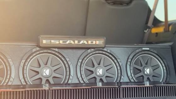 2015 Cadillac Escalade ESV Platinum by Cody Komadina