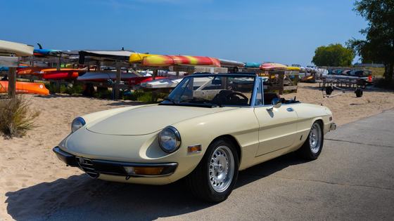 1981 Alfa Romeo 2000 Spider Veloce by Besic Motorsports