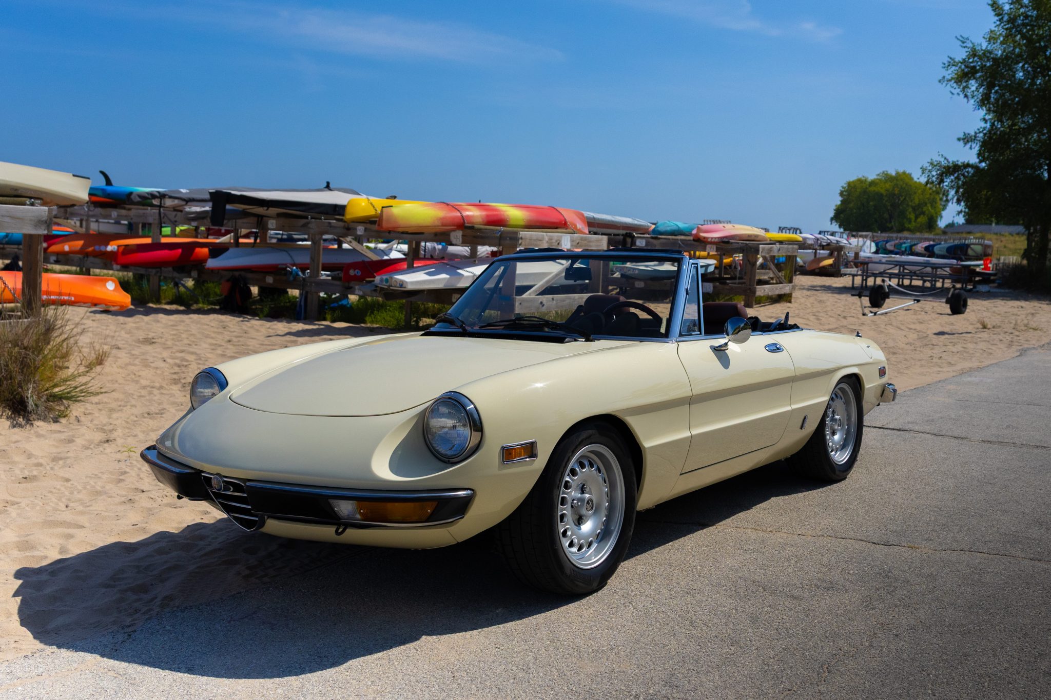 1981 Alfa Romeo 2000 Spider Veloce by Besic Motorsports