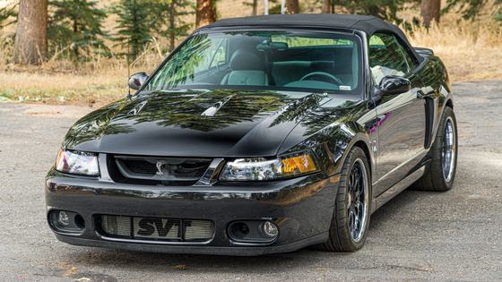 2003 Ford Mustang SVT Cobra Convertible