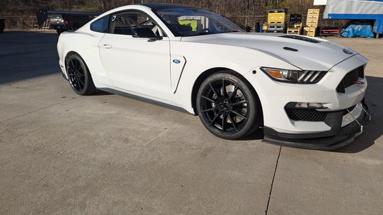 Ford Mustang S550 Race Car by Capaldi Racing
