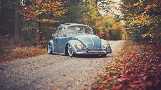 1959 Volkswagen Beetle by Rick Tolboom